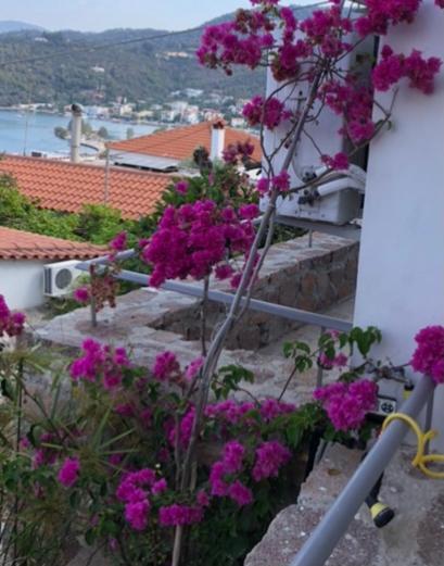 Veranda Blue - Poros Apartment Poros Town